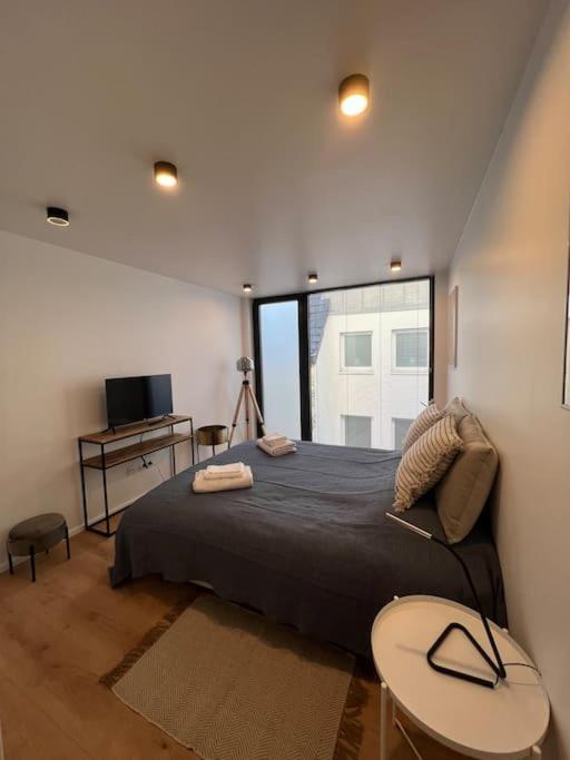 Triplex D'architecte En Hypercentre